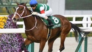 【本日の注目ポイント】春の女王決定戦・ヴィクトリアマイル