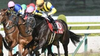 【ヴィクトリアマイル】デゼル陣営「東京競馬場で持ち味が生きる」/ねぇさんのトレセン密着