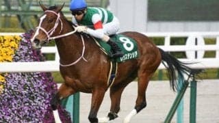 【WIN5予想】ヴィクトリアMは阪神牝馬S組と東京巧者が優勢/伊吹雅也