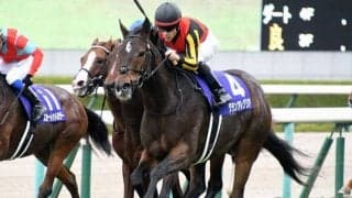 【ヴィクトリアマイル・馬体重】グランアレグリアは498kg(+2)、テルツェットは426kg(+8)