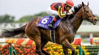 【ヴィクトリアマイル結果】グランアレグリアが突き抜け圧勝！ GI・5勝目！