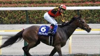 【ヴィクトリアM】グランアレグリアが史上初、古馬芝マイルG1完全制覇