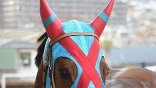 【ヴィクトリアマイル】18着イベリスは心房細動を発症