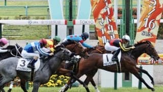 【東京5R】ディープ産駒の良血クロンターフがで2連勝