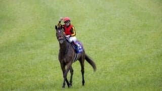 【ヴィクトリアM】ルメール「違うレベル」グランアレグリアがG1・5勝目