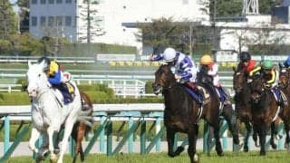 白毛の桜花賞馬2冠なるか 牝馬クラシック第2戦オークス/今週の競馬界の見どころ