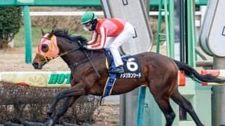 【平安S見どころ】アメリカンシードが巻き返して重賞初Vを狙う