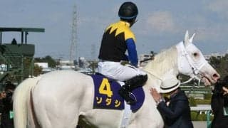 【オークス見どころ】白毛ソダシが無敗2冠制覇に挑む
