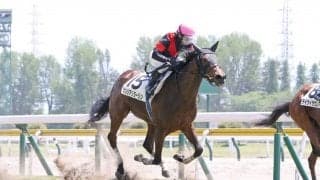 【新潟3R】ドリームジャーニー産駒 シンシアリダーリンが初勝利