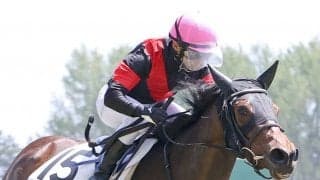 【新潟3R】秋山「強い競馬」シンシアリダーリンが初勝利