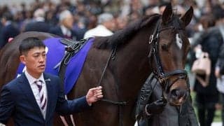 グランアレグリア、4馬身差つけた桁違いの強さに海外称賛「支配的なパフォーマンス」