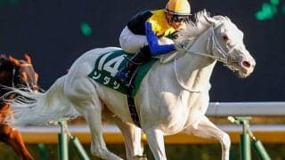 【オークス】父クロフネで2400mはもつのか？ ソダシの血統を復習/栗山求