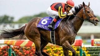 【ヴィクトリアマイル回顧】血の非凡さを証明したディープ産駒の女傑グランアレグリア/栗山求