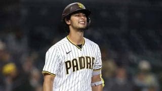 【MLB】ダルビッシュ、強烈二塁打の今季初安打で喜び爆発！　6回まで9K無失点で4勝目権利