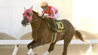 【平安S展望】帝王賞に向け注目の一戦、あの馬の巻き返しを期待