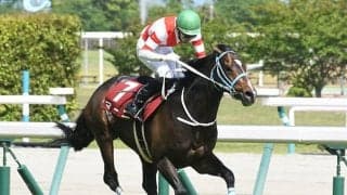 【京都ハイジャンプ】売上は4億9644万7000円で昨年から増加