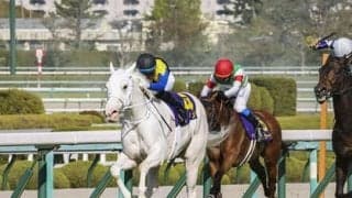 ソダシは本当に断然か。オークスの行方を占う「３歳牝馬ランキング」