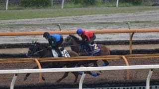 ヴィクティファルス、日本ダービー1週前追い切り速報/栗東トレセンニュース