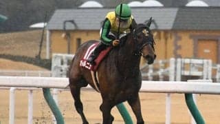 【平安S予想オッズ】アメリカンシードが想定では1番人気に