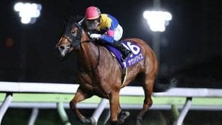 【大井・メトロポリタンメイC結果】JRA所属のサウンドワイズが勝利