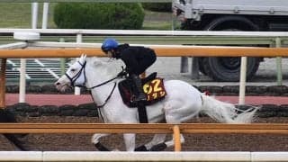 【オークス予想オッズ】ソダシが単勝1.8倍で予想1番人気に