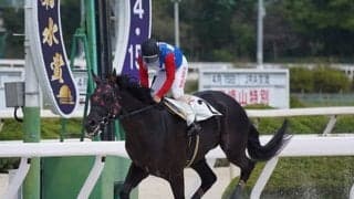 デビュー時ですでにキタサンブラック超え！ 2連勝を果たした615kg(＋55kg)の超大型馬/大恵陽子