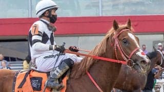 【JRA】海外遠征中のフランスゴデイナが米・クラシック最終戦の舞台に到着