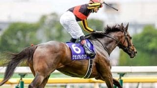 【安田記念想定】グランアレグリア、ラウダシオン、インディチャンプなど短距離界の強豪集結