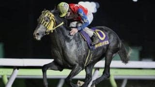 【大井記念結果】ミューチャリーが早め先頭から6馬身差の圧勝！10か月ぶりの重賞V