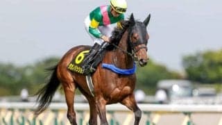 【オークス】タガノパッション岩田康騎手「落ち着いて雄大な走りをみせる」/ねぇさんのトレセン密着