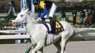 【オークス予想】距離適性に疑問の声も 厩舎データが示すソダシの評価/JRAレース展望