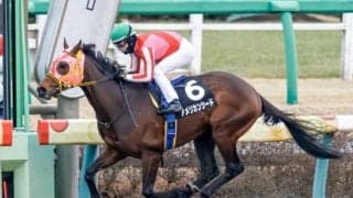 【平安S枠順確定】アメリカンシードは大外8枠16番、オーヴェルニュは3枠5番