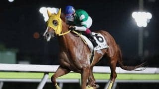 【大井・優駿スプリントトライアル結果】今野忠成騎手騎乗のハートプレイスが勝利