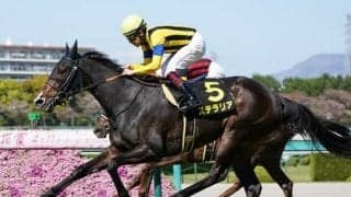 オークスも無敗のソダシが有力。相手は勝負づけが済んでいない別路線組