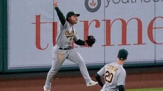 【MLB】エンゼルスの同点弾“強奪”　完璧HRキャッチに米ファン興奮「ゴールドグラブあげて」