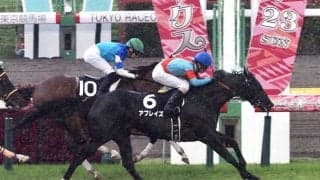 【メイS】アブレイズがゴール寸前で差し切る