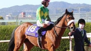 ダービー挑戦を決めたサトノレイナス。ルメール騎手は「何の不安もない」