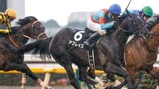 【万哲の馬場予報】土曜より一段乾いた良馬場で思う存分力を発揮できるか