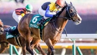 【WIN5予想】オークスは末脚やキャリアを重視したい/伊吹雅也