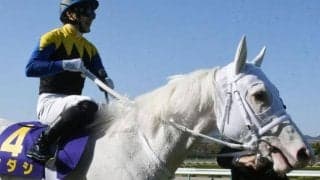 【オークス】ソダシ吉田隼人騎手「1着で勝ち抜けられるように頑張りたい」/ねぇさんのトレセン密着