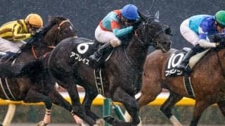 【メイS結果】紅一点アブレイズが競り合いを制す　1年2か月ぶりのV