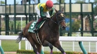 【平安S結果】オーヴェルニュが6馬身差圧勝で重賞2勝目