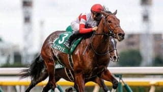 【JRA】東スポ杯2歳SがGIIに　葵SのGIII格付けは承認されず