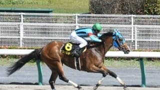 【鳳雛S結果】牝馬ウェルドーンが3馬身差で快勝