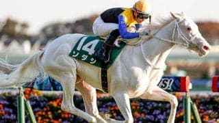 【オークス・馬体重】ソダシは472kg(0)、アカイトリノムスメは450kg(+6)