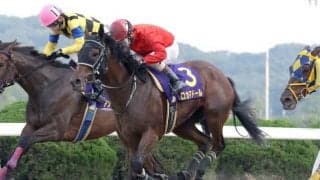 【佐賀ヴィーナスC】川崎のロカマドールが激戦を制し重賞初制覇