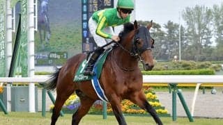 【JRA】春の新潟リーディングは菅原明良騎手「関係者の皆様のサポートがあってこそ」