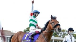 【日本ダービー見どころ】エフフォーリアが無敗クラシック2冠を目指す