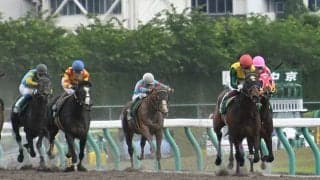 【平安S】売上は37億7614万1600円で昨年から増加