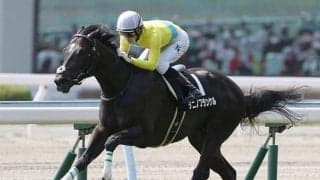 【先週のJRA抹消馬】名牝・ウオッカの仔タニノフランケル、パラダイスS覇者のショウナンライズなど